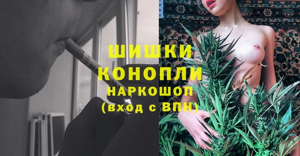 бошки Белокуриха