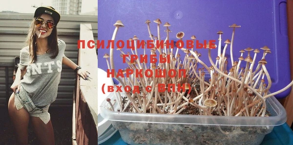 крисы Богданович
