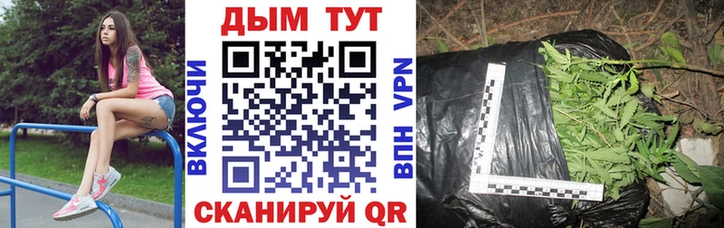 кракен как зайти  Козловка  Шишки марихуана сатива 